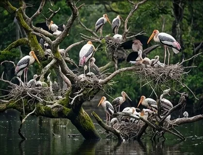 Bundala National Park